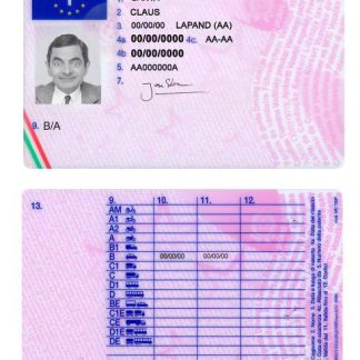 Italy Driving License download template file
