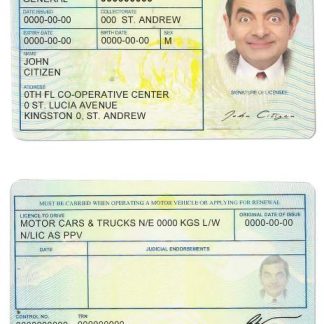 Jamaica Driving License download template file