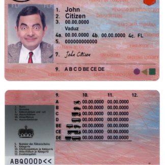 Liechtenstein Driving License download template file