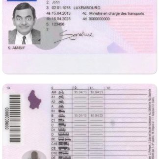 LUXEMBOURG Driving License download template file