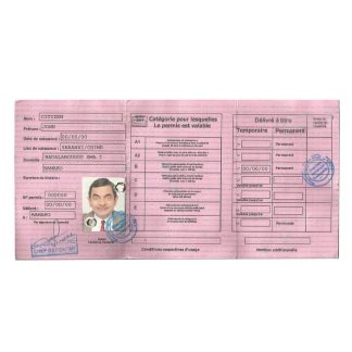 Mali Driving License download template file