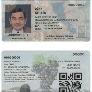 Mexico Baja California Driving License download template file
