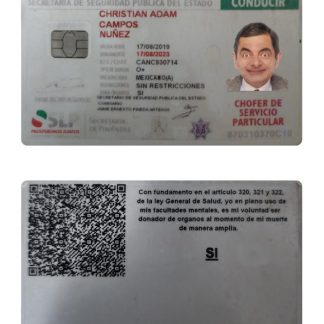 Mexico Driving License 2019 present download template file