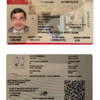 Mexico Sonora state Driving License download template file