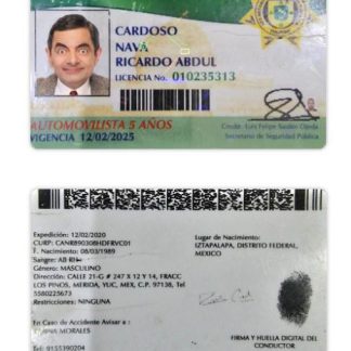Mexico Yucatan state Driving License download template file