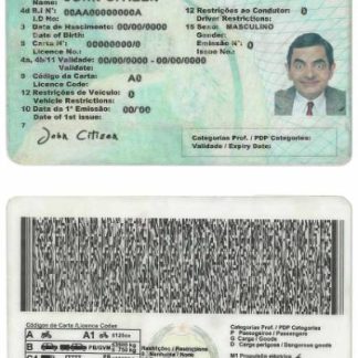Mozambique Driving License download template file