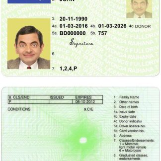 NEW ZEALAND green Driving License (fully qualified) download template file