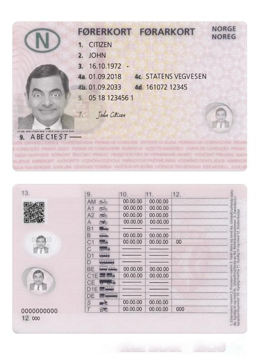 Norway Driving License 2018 present download template file
