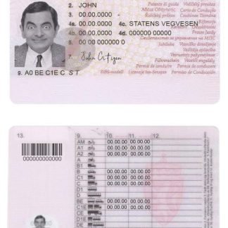 Norway Driving License template,fully editable(2013present) download template file