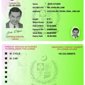 Pakistan international driving permit download template file