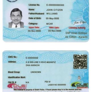 Pakistan Sindh province Driving License (2016 present) download template file