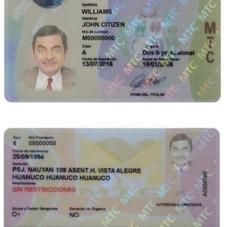 PERU Driving License download template file