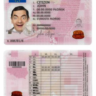 Poland Driving License template in PSD format,fully editable,2019 present download template file