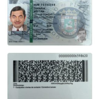 Puerto Rico Driving License 2022 present download template file