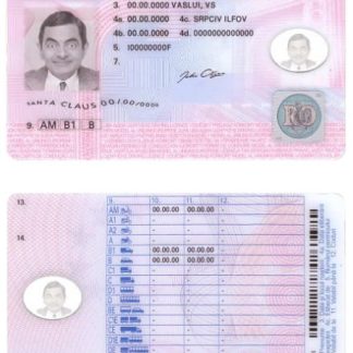 Romania Driving License download template file