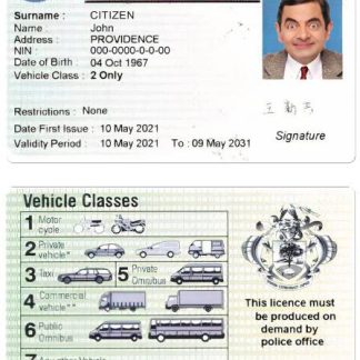 SEYCHELLES Driving License download template file