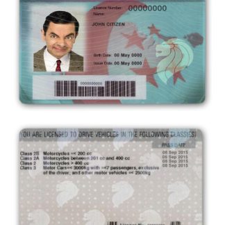 Singapore Driving License download template file