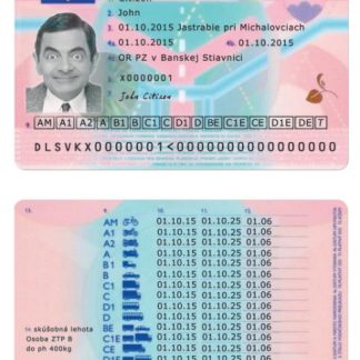 Slovakia Driving License download template file