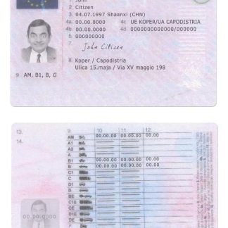 Slovenia Driving License download template file