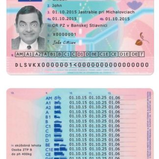 Slovenia Driving License version 2 download template file