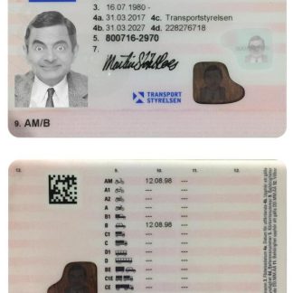 SWEDEN Driving License (2016 present) download template file