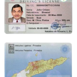 Timor Leste Driving License download template file