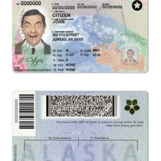 USA Alaska state Driving License download template file