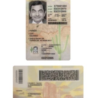 USA Arizona under 21 Driving License 2023 present download template file