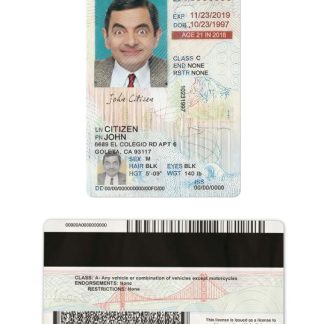 USA California Driving License under 21 download template file