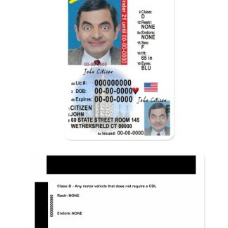 USA Connecticut Driving License under 21 download template file