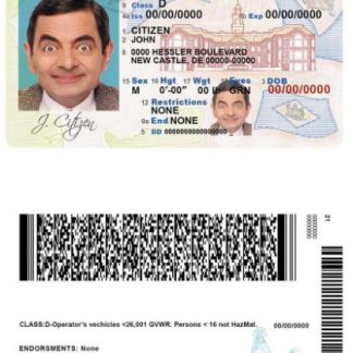 USA Delaware driver license download template file