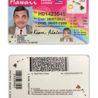 USA Hawaii Driving License 2021 present download template file