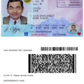 USA Idaho driver license download template file