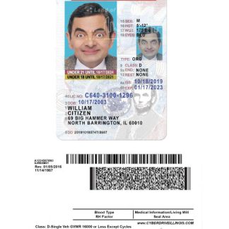 USA Illinois Driving License under 21 download template file