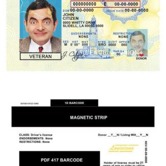 USA Louisiana Driving License download template file