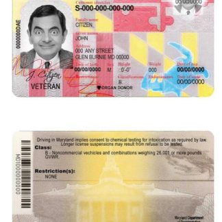 USA Maryland Driving License download template file