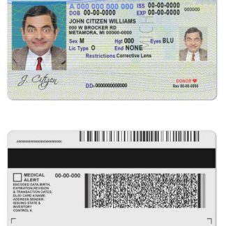 USA Michigan Driving License download template file