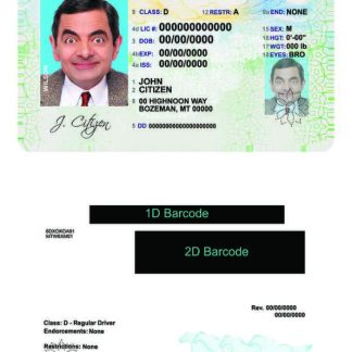 USA Montana Driving License download template file