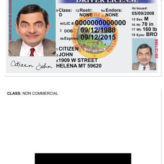 USA Montana Driving License version 2 download template file