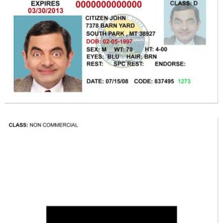 USA Montana Driving License version 3 download template file
