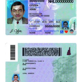 USA New Hampshire Driving License download template file