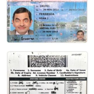 Bermuda Driving License download template file