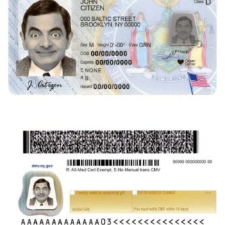 USA New York Driving License download template file