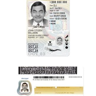 USA New York Driving License under 21 (version 2) download template file