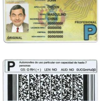 Bolivia Driving License download template file