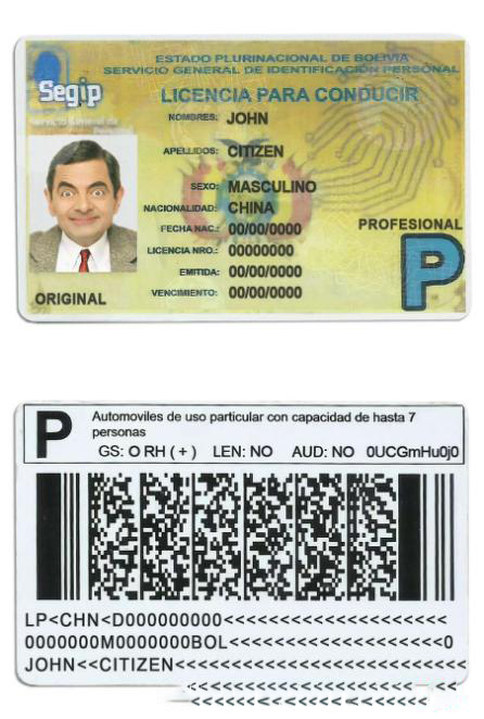 Bolivia Driving License download template file