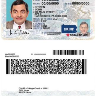 USA Pennsylvania state Driving License download template file