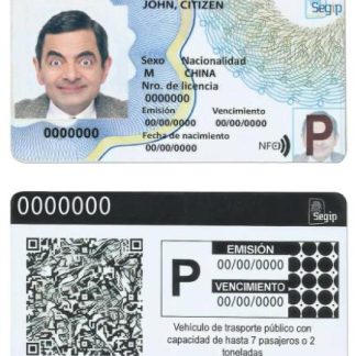 Bolivia Driving License 2017 download template file