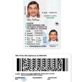 USA South Carolina under 21 Driving License download template file