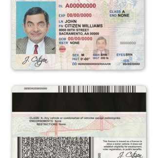 USA state California driver license download template file